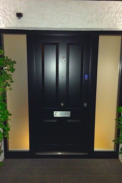 Security doors with security glass panels